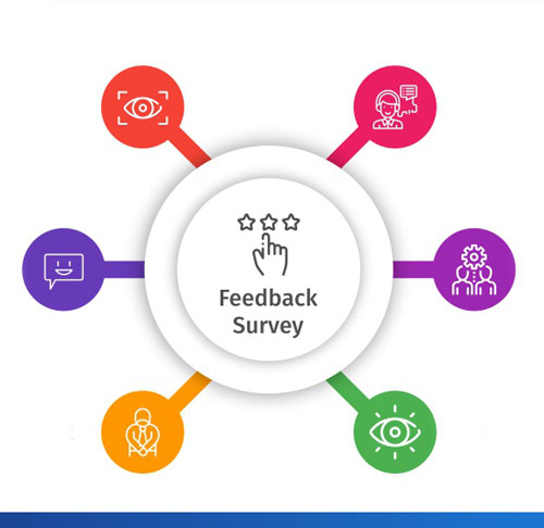 Feedback & Survey